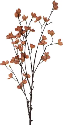 Image de Clayre & Eef Fleur artificielle 8x8x110 cm orange plastique