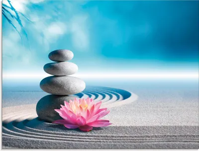 Produktbild von ARTland Glasbild Sand, Lilie und Spa-Steine in Zen-Garten Größe: 80x60 cm