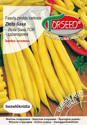 Produktbild von Gelbe Zwergbohnensamen Golden Saxa 30g - Torseed