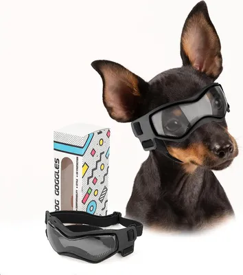 A dog wearing goggles next to its packaging and a pair of goggles.
