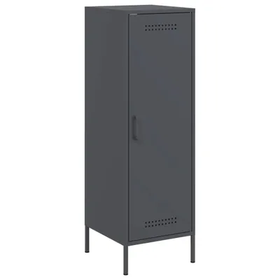 Immagine prodotto di Credenza Antracite 36x39x113 cm in Acciaio