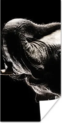 Produktbild von MuchoWow® Poster Elefant in Schwarz und Weiß 60x120 cm - Wandschmuck