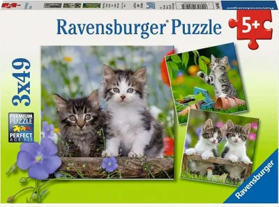 Produktbild von Süße Samtpfötchen Ravensburger 08046