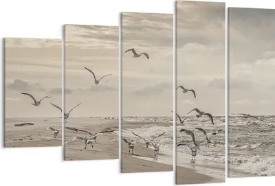 Produktbild von Bild auf Leinwand - Leinwandbild - 5 Teile - Möwen Küste Boho - 150x100cm - Wand Bild - Wanddeko - Wandbilder - Leinwanddruck - Bilder - Wanddekoration - Leinwand bilder - Wandbild - EG150x100-4723