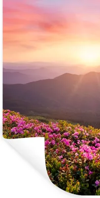 Produktbild von MuchoWow® Wandtattoo Wandsticker Wandaufkleber Blumen - Berg - Sonnenuntergang - Landschaft 80x160 cm Selbstklebend und Repositionierbar - Sticker - Dekorfolie