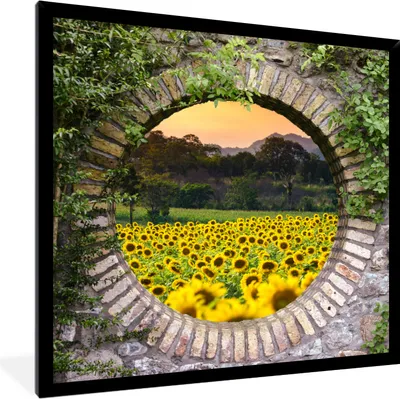 Produktbild von MuchoWow® Gerahmtes Poster Durchschauen - Blumen - Sonnenblume 40x40 cm - Poster mit Schwarzem Bilderrahmen Wandposter Rahmen Foto Bilder - Mit Rahmen - Wanddekoration Schlafzimmer