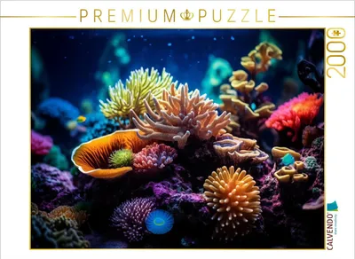 Produktbild von CALVENDO Puzzle Meeressymphonie | 2000 Teile Lege-Größe 90x67cm Foto-Puzzle für glückliche Stunden