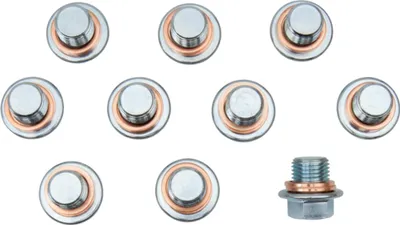 Produktbild von Bahco Werkzeugsatz mit 10 Ölablassschraube M22x1.5 und 20 Dichtringen