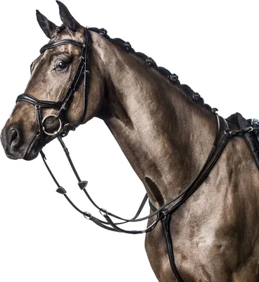 Immagine prodotto di Snaffle Horseguard, hannoversch. Nasello, cuoio inglese, nero, misura:WB