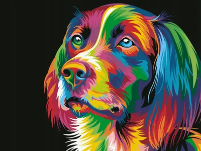 Produktbild von Malen nach Zahlen: Bunter Hund, 40x50 cm, auf Leinwand, kreativ