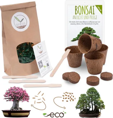Immagine prodotto di Kit di partenza per bonsai con eBook  - set di vasi di cocco, semi e terriccio (rosa del deserto + sequoia di montagna)