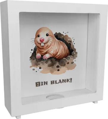 Produktbild von Nacktmull Rahmen Spardose aus Holz mit Spruch Bin blank!