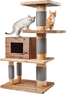 Two cats are on a wooden cat tree.