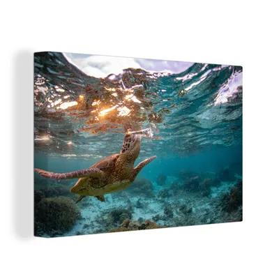 Obrázok produktu pre OneMillionCanvasses® - Maľba na plátne - Obraz na plátne Nástenná maľba na plátne - More - korytnačka - farby - 150x100cm - Fotografia na plátne -