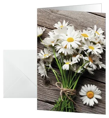 Obrázek produktu pro 10 SIGEL Glückwunschkarten Summery (DS105)