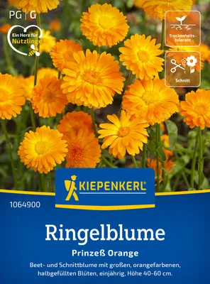 Produktbild von Kiepenkerl Ringelblumensamen Prinzeß Orange Calendula officinalis 100 Pflanzen