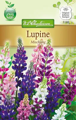 Produktbild von Lupine Mischung | Lupinensamen von N.L. Chrestensen