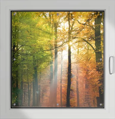 Produktbild von Wallario Lichtschutzbild, Dekorativer Sichtschutz Sonnenschutz 96 x 93 cm mit Motiv: Sonnenuntergang im Herbstwald - Verdunklung ohne Bohren