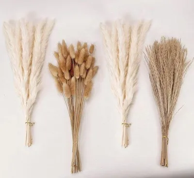 Produktbild von Pampasgras Dekorationsbouquet - Weißes Pampasgras mit Kaninchenfellen