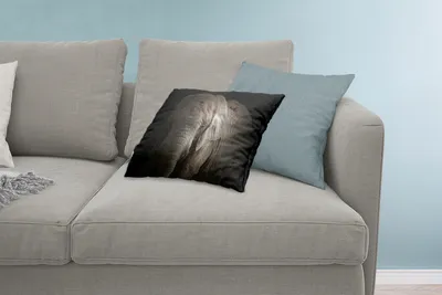 Produktbild von MuchoWow® Zierkissen Sofakissen Wohnzimmer Dekokissen 60x40 cm Elefant - Porträt - Tiere - Schwarz - Kopfkissen - Polster mit Foto
