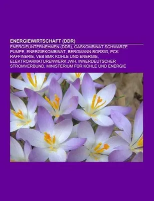 Produktbild von Energiewirtschaft (DDR)