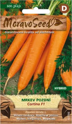 Zdjęcie produktu dla Marchew późna CORTINA F1 - hybryda 63766