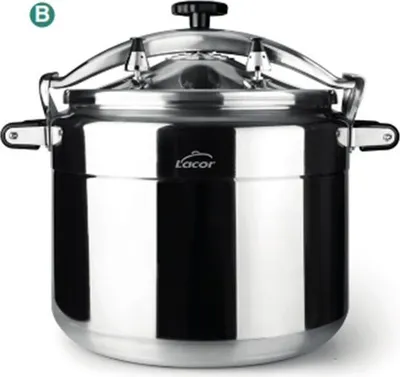 Immagine prodotto di Lacor Pro-Clasic 20533 Pentola a pressione, alluminio, argento