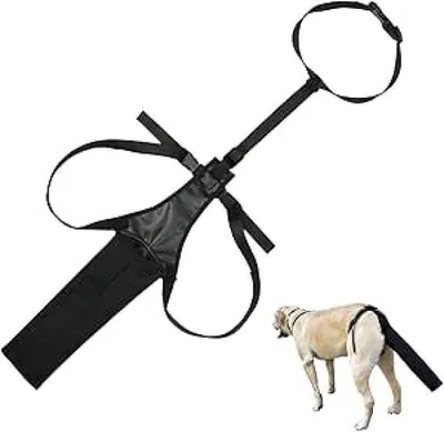 Productafbeelding van Hondenhalsband - Verstelbaar hondenhalsband - Beschermt tegen lekkage bij wonden - Zwart hondenhalsband - Halsband voor wonden - Hondenhalsband met lekkagebescherming - Voorkomen van lekkage bij wonden - Hondenhalsband voor grote honden (maat L)