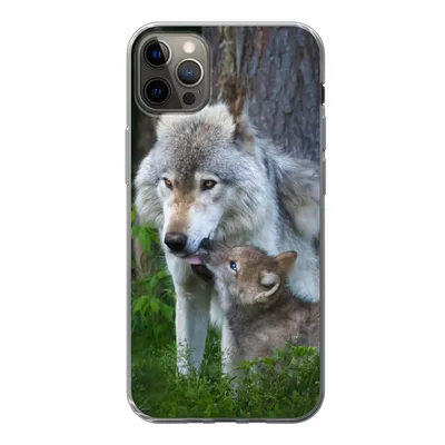 Produktbild von MuchoWow® Handyhülle Schutzhülle Hülle für iPhone 13 Pro Max Wolf - Moos - Wald - Welpe Silikon Softcase Handy Hülle - Mobiltelefon