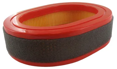 Image de Filtre à Air Adaptable Ayp - Mcculloch Pour Modèle Rv150. Remplace Origine 577616016, 579829013, Lmo016.