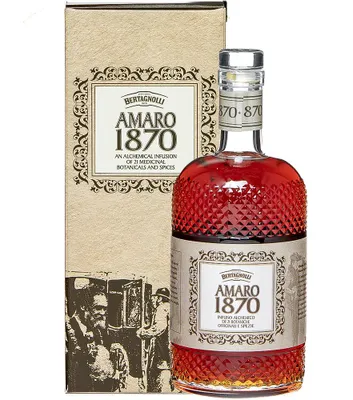 Produktbild von Bertagnolli Amaro 1870 / 27 % Vol. / 0,7 Liter-Flasche in Geschenkbox