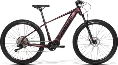 Obrázek produktu pro AMULET 29 eRival 5.5 SR, orient red/black, 2023 Velikost 17/M