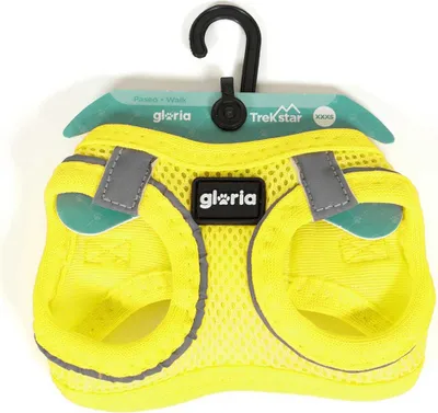 Zdjęcie produktu dla Gloria Air Mesh Trek Star Hundegeschirr M M