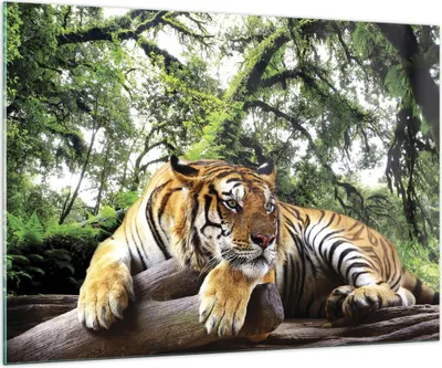 Produktbild von Bilder auf glas - Einteilig - Tiger Dschungel Ruhe - 100x70cm - Glasbilder - Wandbilder - Bilder - zum Aufhängen bereit - Wanddekoration aus Glas - Glas Bilder - Wandbild auf Glas - GAA100x70-4166