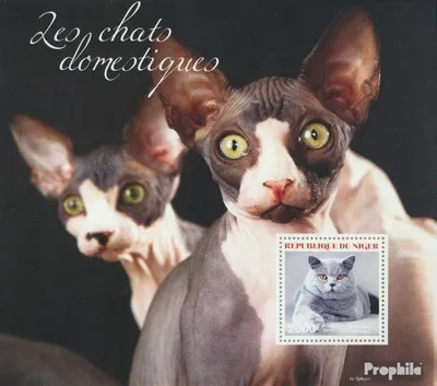 Produktbild von Briefmarken Niger 2014 Mi Block 323 (kompl. Ausg.) postfrisch Katzen