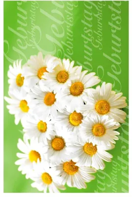 Produktbild von Artebene Karte Folie Geburtstag Margeritenherz