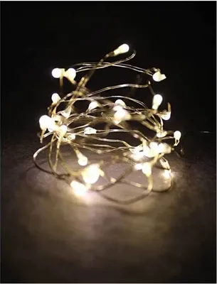 Produktbild von Lex Light LED Lichterkette Draht mit 20 warmweißen Micro LEDs Ø2mm 0,95m für Innen