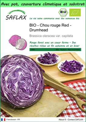Image de SAFLAX Garden to go -- Chou rouge Red - Drumhead - 250 graines - Brassica