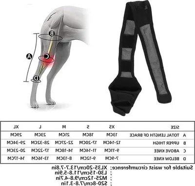 Image de Protège-coudes pour chien, taille moyenne, souple