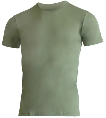 Obrázek produktu pro Lasting pánské merino triko CHUAN zelené