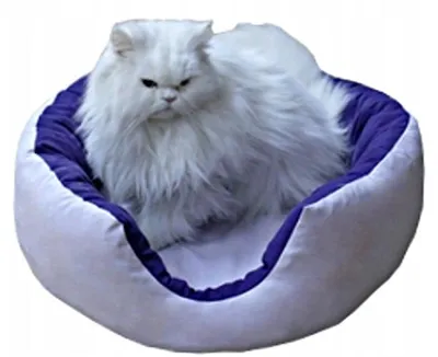 Produktbild von Juelle Wendbare Hundeliege 50 cm für kleine Hunde