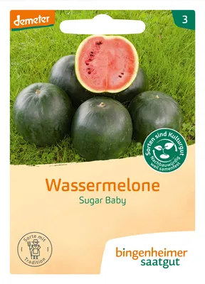 Artikelbild 2 von 'BIO Wassermelone Sugar Baby' aus der Kategorie Wassermelonensamen