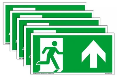 Produktbild von 5 Schilder Notausgang extra langnachleuchtend | PVC selbstkl. 297x148mm | gem...