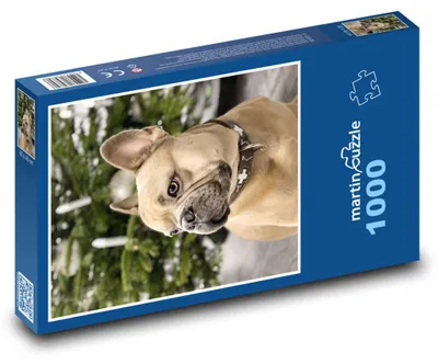 Obrázok produktu pre Puzzle 1000 Francúzsky buldog na Vianoce - martinpuzzle