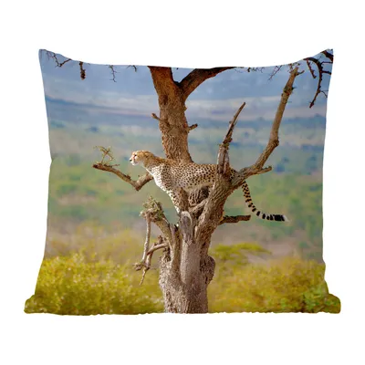 Produktbild von MuchoWow® Zierkissen Sofakissen Wohnzimmer Dekokissen 50x50 cm Leopard - Baum - Tier - Komfort - Sofakissen