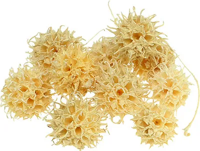 Produktbild von Amberbaum gebleicht 250g - Natürliche Deko, exotische Baumfrüchte, ideal für Herbstdekoration & Adventskranz