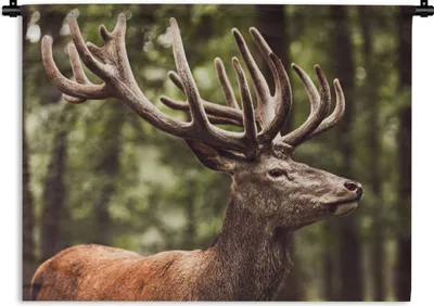 Produktbild von MuchoWow® Wandteppich Wandbehang Hirsch - Natur - Geweih - Wald - Tiere 150x112.50 cm Tapisserie Dekoration Wandtuch - Wanddecke - Wandteppiche