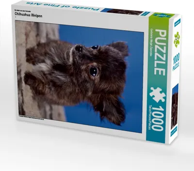 Produktbild von Calvendo Ein Motiv aus dem Kalender Chihuahua Welpen 1000 Teile Puzzle hoch 480x640mm, Wejat-Zaretzke Gabriela; 7276248