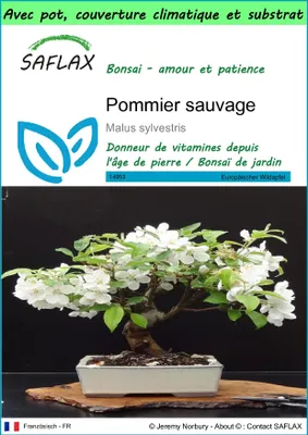 Image de SAFLAX Garden to go - Pommier sauvage - 30 graines - Malus