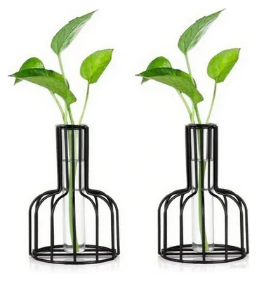 2er-Set schwarze Blumenvasen mit Metallgestell, Reagenzglas